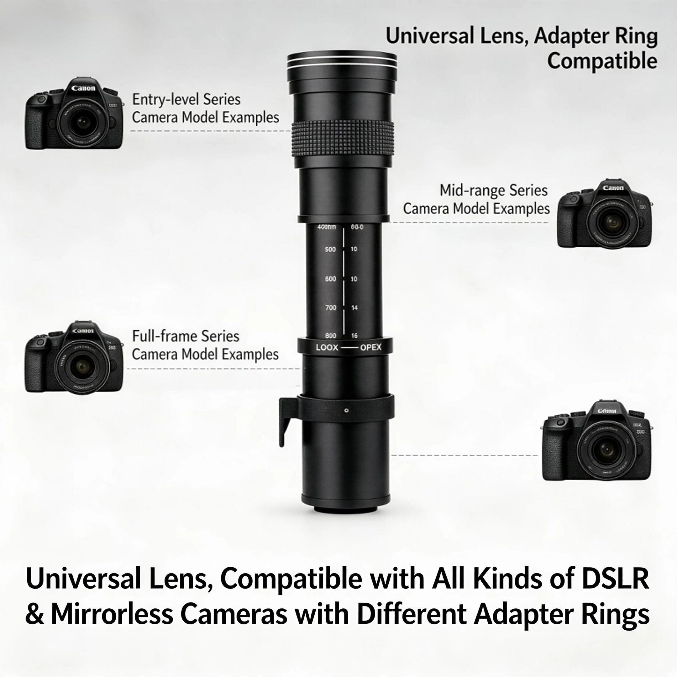Amazon.co.jp: JINTU 420-800mm F / 8.3-16上フルフレーム手動焦点望遠